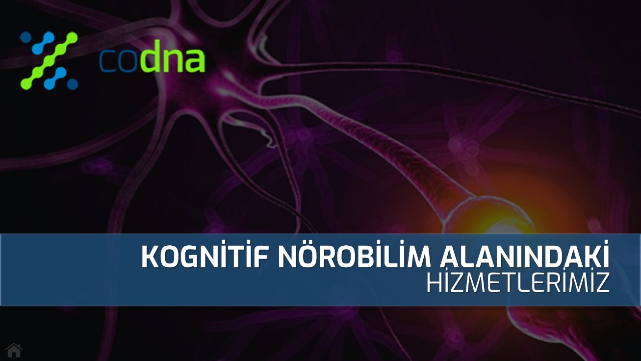 CoDNA Nörobilim Danışmanlığı