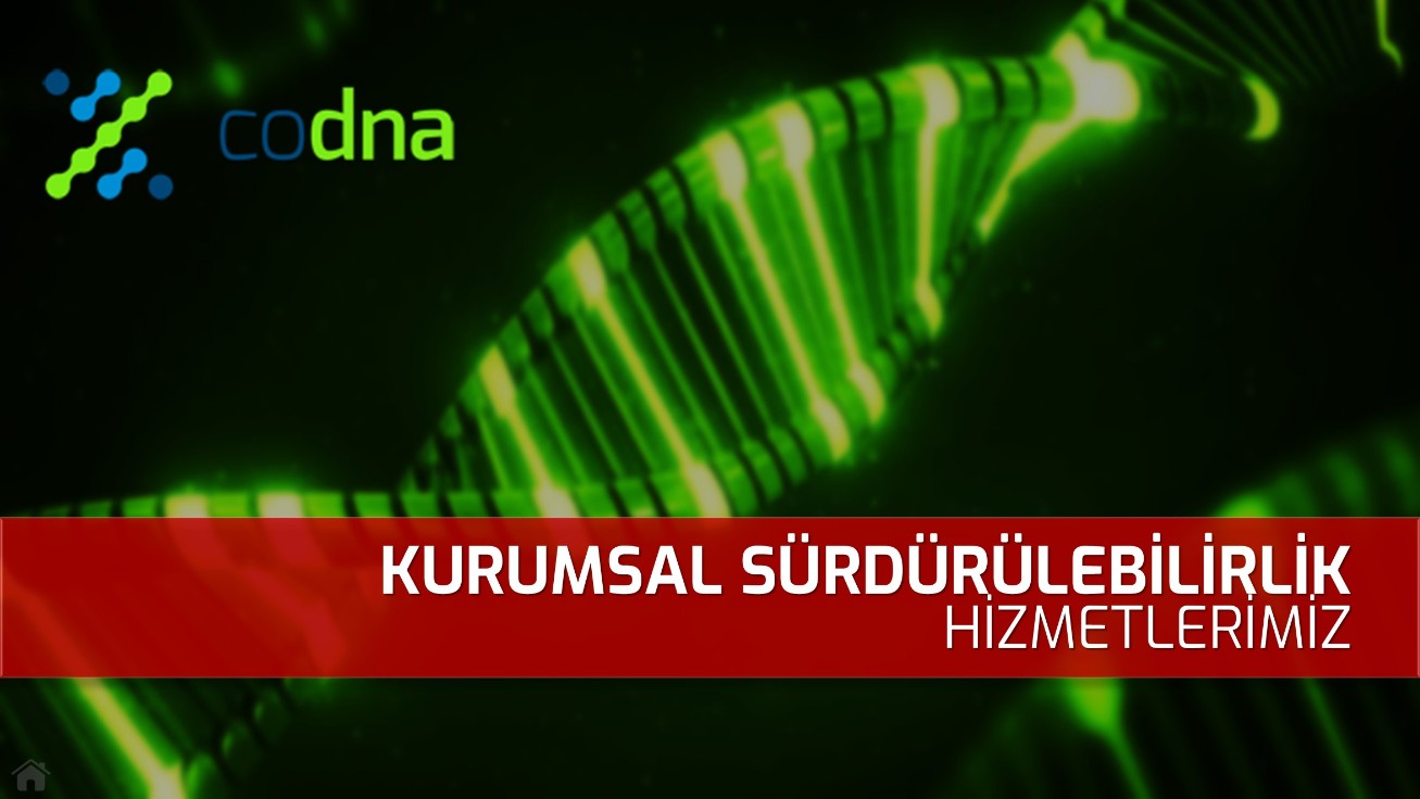 CoDNA Sürdürülebilirlik Danışmanlığı